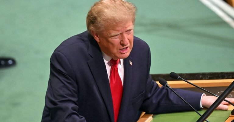 Kyšininkavimo skandalas sudrebino Trumpo komandą: ambasadorės paprašyta trauktis