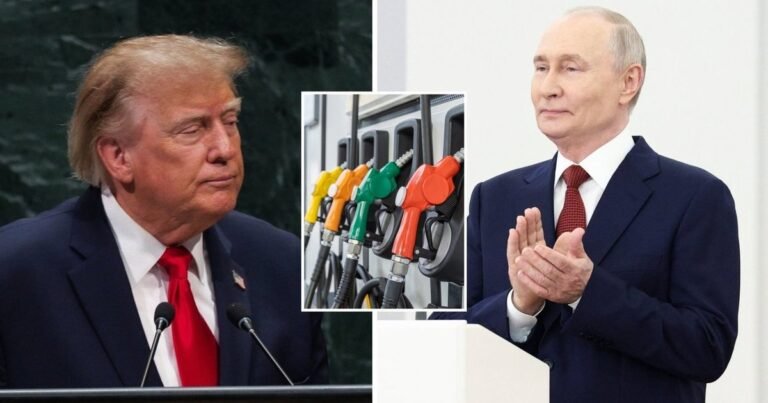 Trumpo ir Putino susitarimas dėl dyzelino sukėlė abejonių: ekonomistai prognozuoja, kas laukia kuro kainų
