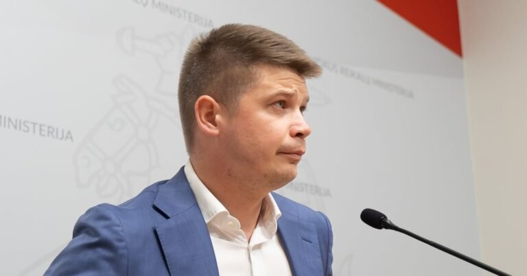 Marokietis pabėgo iš teismo kiemo Vilniuje: ministras aiškinasi, kas nesuveikė